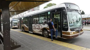 Finalmente habrá colectivos domingos, feriados y en horarios nocturnos de la semana