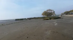 Punta Lara: aparecieron otros 20 restos óseos y sospechan que es una nena