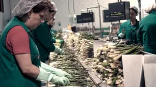 Repro II para salarios de mayo: hasta cuándo pueden inscribirse empresas y personas