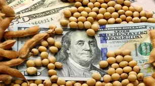 Para un economista, "el gran problema hoy es que el dólar oficial es una mentira"