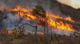 Alex Muñoz: “La industrialización ha traído riqueza a costa de destruir el medio ambiente”