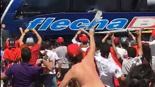 Cría chanchos