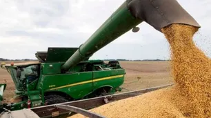 Especialistas advierten que EEUU puede ser una oportunidad comercial para el agro argentino, pero recomiendan "no atarse a un solo mercado"