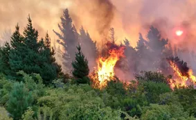 Incendio en Chubut: ya afecta a más de 1550 hectáreas y está fuera de control
