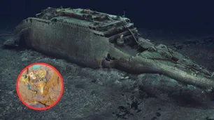 Nuevo hallazgo en el Titanic: un collar de oro podría tener un diente de megalodón