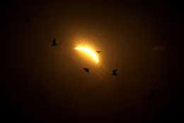 Reviví el espectacular eclipse solar que fue furor en Argentina