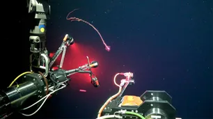 El CONICET lanzó “Vida en los extremos”, una nueva expedición científica con transmisión en vivo