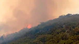 Continúan los incendios forestales en Chubut