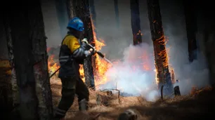 Corrientes: las lluvias alivian los incendios, que dejan pérdidas por $26.000 millones