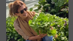 El Espía: Juliana Awada pasa del instagram a un libro de recetas y consejos para la huerta