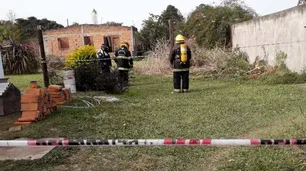 El insólito y peligroso descubrimiento de un hombre cuando estaba desmalezando el jardín