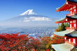 Un puente de naturaleza y cultura entre Argentina y Japón