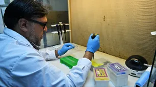 Una investigación científica advierte que la influenza aviar avanza en la Antártida y amenaza a su fauna nativa