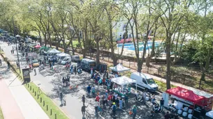 Plátanos en CABA: cuántos hay en la Ciudad y cuánto tuvo que ver Sarmiento