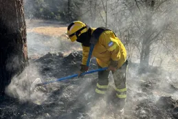 Incendios en Córdoba: continúa la lucha contra el fuego en Guasapampa