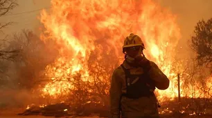 Incendios forestales en Córdoba: en 2024 se quemaron más de 100 mil hectáreas, un 150% más que en 2023