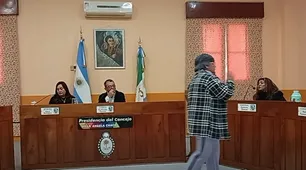 "Le hiciste asfalto a la casa de tu mamá": una vecina de Chaco interrumpió una sesión y lanzó duras acusaciones