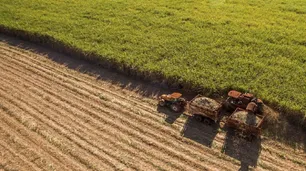 Aseguran que si el Gobierno baja las retenciones al agro, crecerá la recaudación