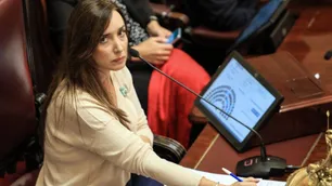 El video de Victoria Villarruel, las críticas de la oposición y "lágrimas de zurdo": las repercusiones del discurso de Javier Milei