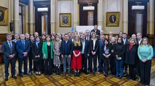 El Senado dio una rápida señal de unidad frente a la agresión