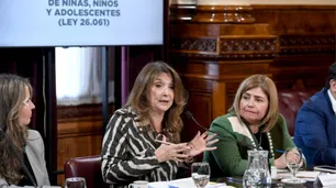 La Defensoría de los Derechos de los Niños, en riesgo: el Senado no constituyó la bicameral y podría quedar acéfala
