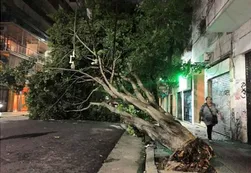 El temporal dejó a más de 70 mil personas sin luz