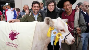 Javier Milei dijo en La Rural que está "absolutamente" preparado para elecciones anticipadas