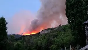 Incendios en Chubut: el viento puede complicar la lucha contra el fuego en el Parque Los Alerces