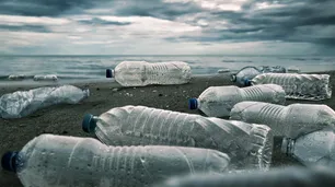 En Argentina, al 91% de las personas les interesa el cuidado del ambiente