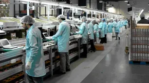 Hernán Letcher: “Durante el mes de mayo casi 18.000 puestos de trabajo fueron registrados”