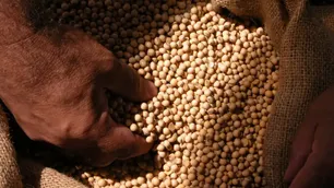 “Trasladar las funciones del INASE a la Secretaría de Agricultura sería retrotraerse al año 2000”