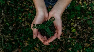 Argentina quiere ser parte del Plan de Biodiversidad, pero va para otro lado