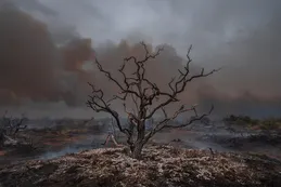 Un informe concluyó que los incendios patagónicos del verano fueron los peores en seis décadas