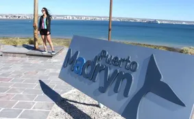 Verano en Puerto Madryn: elefantes y lobos marinos, pingüinos, estrellas y el mar como protagonistas