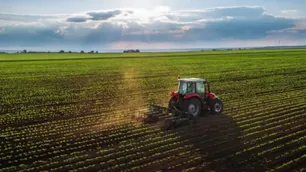 La actividad agropecuaria cerró un 2025 en niveles récord y creció más de 11% interanual