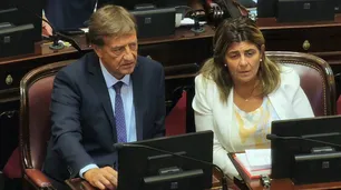 Caso $LIBRA: el senador Rodolfo Suárez admitió presiones para rechazar la investigación a Javier Milei