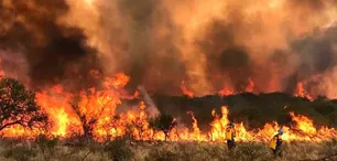 Incendios: la urgencia de invertir en prevención