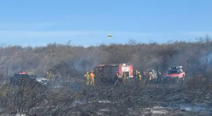 Córdoba: los incendios quemaron un tercio de la reserva militar de La Calera