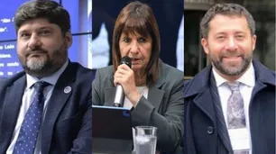 Recrudece la interna en Seguridad: Patricia Bullrich desplazó al director de Inteligencia Criminal, Ricardo Ferrer Picado