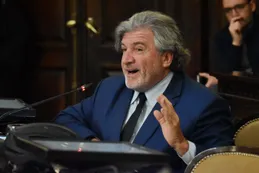 Diputado en Mendoza: "Ayer fue un día muy triste, se están vendiendo las joyas de la abuela"