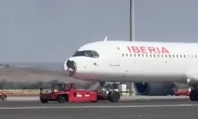 Madrid: un avión de Iberia aterrizó de emergencia tras impactar contra un pájaro