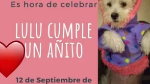 Córdoba: apartan a una funcionaria e investigan si hizo una fiesta para su perro