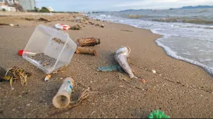 Casi el 80% de los residuos encontrados en las playas bonaerenses son plásticos