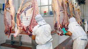 Carne: más gobernadores piden el levantamiento del cepo a las exportaciones