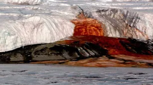 Cataratas de Sangre: en la Antártida, encontraron que fluye agua roja viva