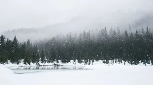 Los nombres de la nieve