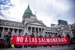 Tierra del Fuego aprobó la primera ley del mundo que prohíbe los criaderos de salmón