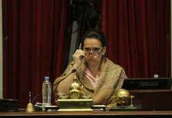 Rozas cruzó a Michetti: "Usted no es la dueña del Senado"