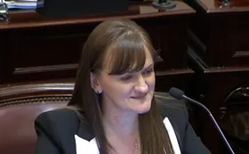 Schneider apuntó contra Capitanich y recordó a Emerenciano Sena en el debate penal juvenil