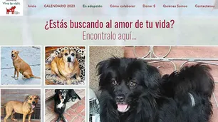 El misterio del síndrome del perro negro